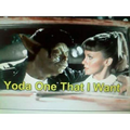Yoda one that I want.png