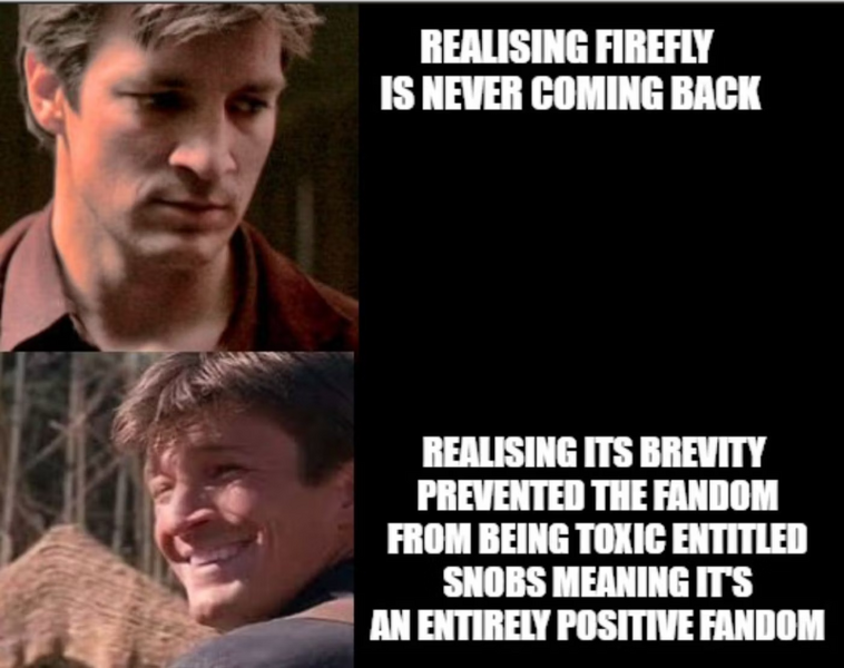 File:Bring Back Firefly.png